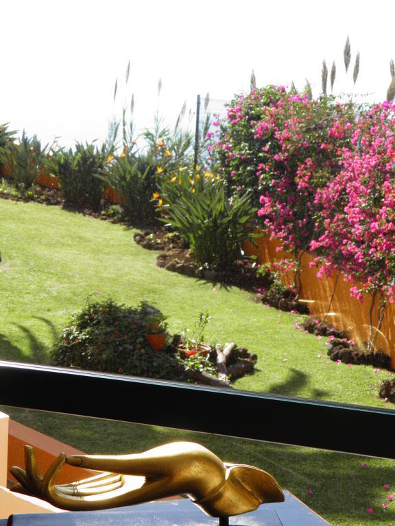 Hotel Alpino Atlantico Ayurveda Cure Centre - Adults Only Caniço Екстериор снимка